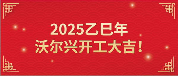 2025乙巳年豪门国际开工大吉